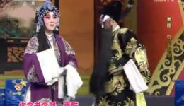 秦腔《包公赔情》高清mp4视频下载 | 罗飞贺瑞玲主演 经典戏曲资源下载