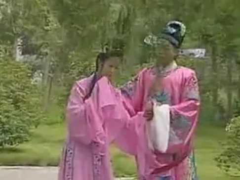 黄梅戏《山姑与秀才》完整版资源下载，陈小华钱小燕主演经典戏曲全剧下载