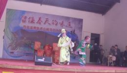 五音戏<老少换妻>2