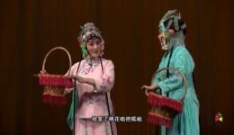 拾棉花