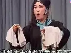 坠剧《少侠包公案》全集资源下载，经典少侠包公断案故事