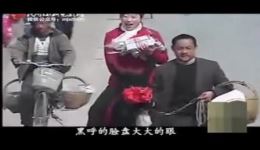 骑着毛驴回娘家