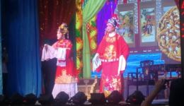越剧《打金枝》选段何英姿精彩演绎，经典戏曲在线下载，领略传统艺术魅力下载