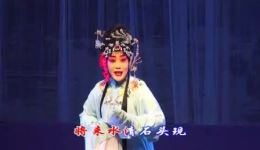 淮剧《芙蓉泪》全剧高清视频MP4/MP3资源下载,经典戏曲免费获取 淮剧《芙蓉泪》全剧高清视频MP4/MP3资源下载,经典戏曲免费获取