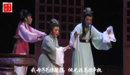 孔雀东南飞