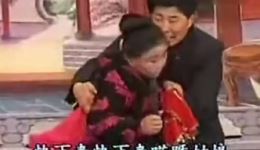河南坠子《王婵出世》下集高清下载 - 陈明山戴玉环经典演绎，完整剧集资源