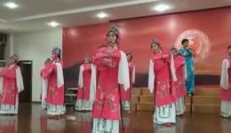 抚州采茶戏《耳边厢声声唤似梦非梦》在线观看与下载，国家级非遗经典戏曲资源