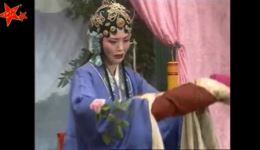 庐剧《小鱼网认母》全集在线观看 - 朱德顺、夏巧云、马晓梅领衔主演下载