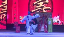 双婿案