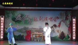 大型古装扬剧《水红菱》高清全集下载｜吴德材顾红霞主演经典剧目在线获取下载