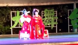 寒梅芳心