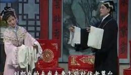 庐剧卖花记