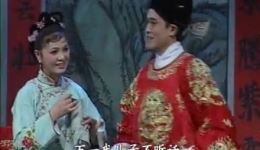 庐剧卖花记
