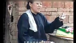 民间小调《二傻子干傻事》下载 - 经典农村搞笑戏曲资源在线观看