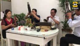 唢呐吹奏豫剧《朝阳沟》在线下载，经典戏曲资源，感受深厚功底