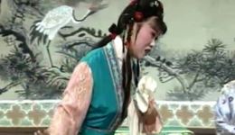 庐剧《吊打红梅》下集完整资源下载——汪莉、郑宏文等实力派演员联袂演绎，经典剧情不容错过下载