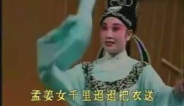 赵美蓉观灯
