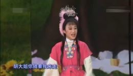 魏金栋马飞演绎经典花鼓戏《刘海砍樵》选段 在线观看高清戏曲资源 魏金栋马飞演绎经典花鼓戏《刘海砍樵》选段 在线观看高清戏曲资源