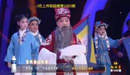 河南梨园春