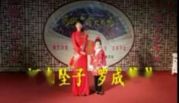 河南坠子《罗成算卦》全场资源下载，焦军芳经典演绎，正宗坠子唱腔下载