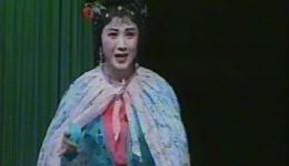 节妇吟