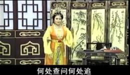 淮剧《武则天》选场资源下载，裔小萍梁锦忠主演，经典淮剧戏曲在线获取下载