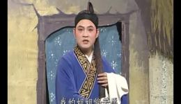 《庐剧经典之作《陶金玉招亲》全集下载，朱德顺、孙晓云领衔主演》下载