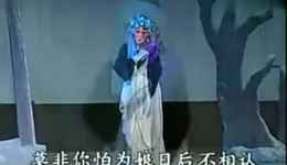 淮剧《安寿保卖身》全剧高清下载｜王玲玲崔成华陈芳刘正阳主演，传统经典剧情完整呈现下载