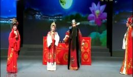 杨柳恨