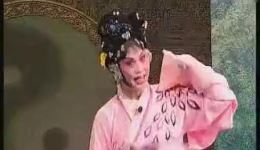 梦蝶劈棺