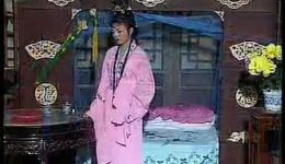 花绒记