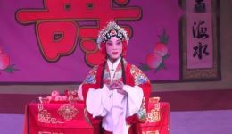 五世请缨