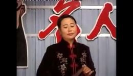 河南坠子经典合集《杨二郎降妖》《劝世人》《高梦鸾征北》韩淑英演唱，免费戏曲资源在线畅享