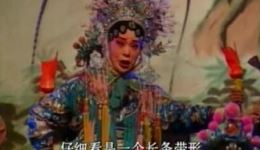 武安平调《穆桂英征南》全集下载，河北涉县平调落子剧团经典演绎