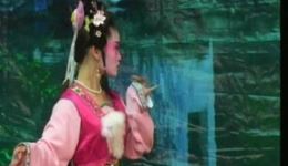 免费春蕾白字戏《天仙配》高清下载，经典仙凡爱情戏曲全场资源