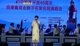 南北合