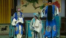 河北梆子经典《蝴蝶杯》赵婧王少华金玉芳主演，明代正义情缘大戏在线下载下载