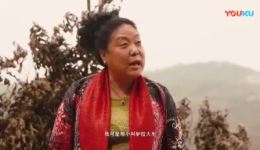 家有贤妻