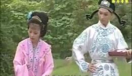 庐剧《张万郎休丁香》超长版全集下载 刘长芬徐业宝陈伶莉主演经典剧目mp4/mp3资源