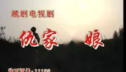 仇家姑娘