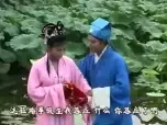 黄梅戏《挑女婿》全剧在线观看,经典黄梅戏曲目完整呈现 黄梅戏《挑女婿》全剧在线观看,经典黄梅戏曲目完整呈现
