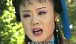 庐剧《苦菜花》电视版在线观看，吴南野等主演，经典戏曲资源下载下载