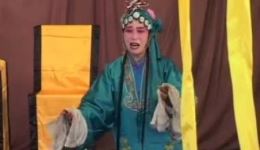坠剧《巧奇冤》下部(3)许晓英林玲芝张新芳主演,经典戏曲资源在线下载 坠剧《巧奇冤》下部(3)许晓英林玲芝张新芳主演,经典戏曲资源在线下载