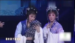 豫剧《泪洒相思地》选段免费下载柏青李金枝梨园春强强联手演绎下载