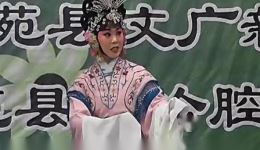 呼家将