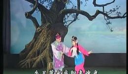 红线女粤剧艺术专辑标清视频下载，经典粤剧戏曲MP4/MP3资源，红派艺术精选下载