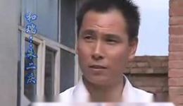 归根下集