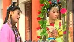 庐剧《苦妈妈》电视版完整资源下载，吴南野昂小红主演，高清戏曲全剧在线观看下载