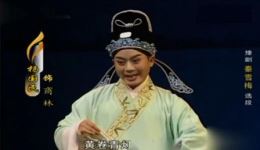 免费豫剧《秦雪梅》杨国民演唱，扮相俊美唱腔动人，经典戏曲在线下载下载