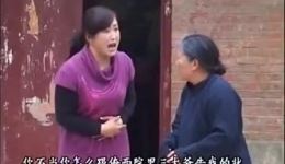 过门三天卖婆婆